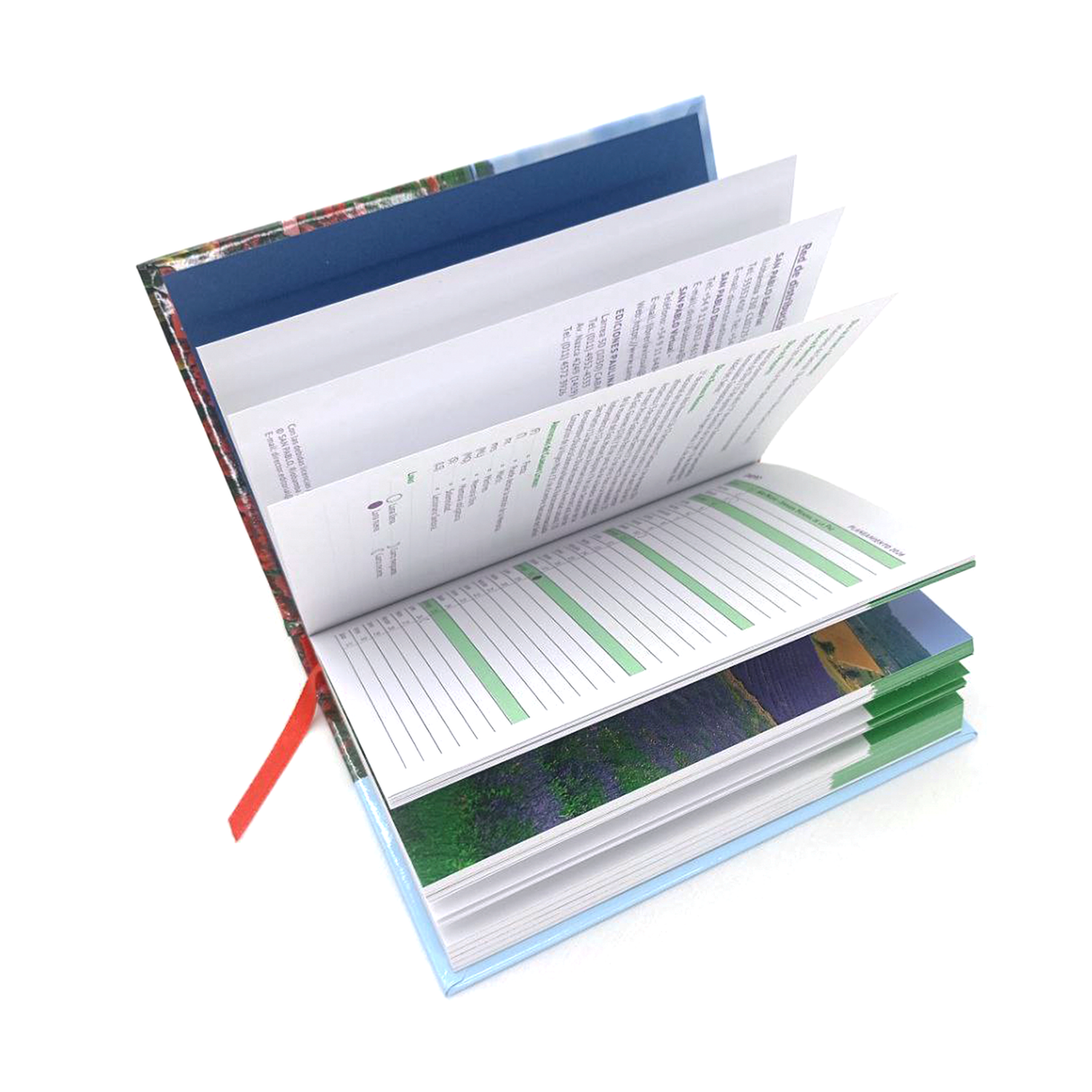 Agenda 365 Días con Cristo Mini 2026