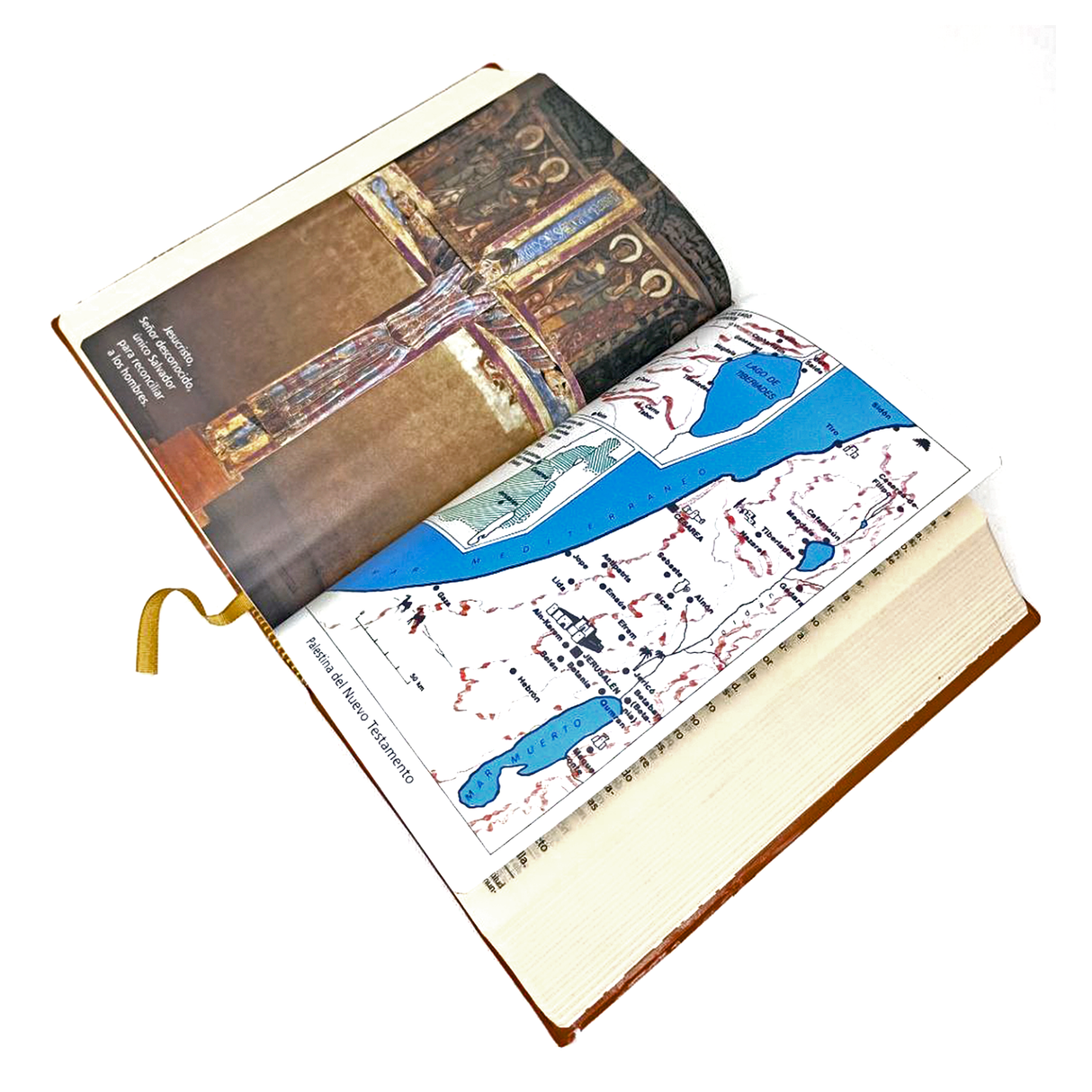 La Biblia Latinoamérica Ministro Nueva Edición - San Pablo Internacional