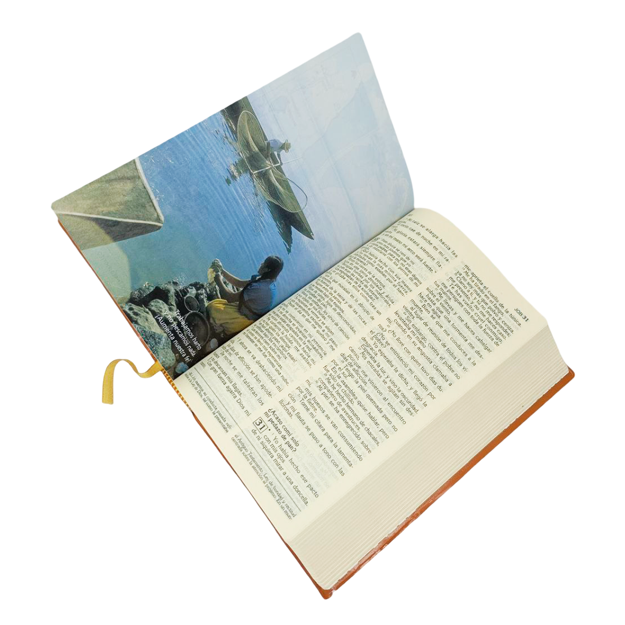 La Biblia Latinoamérica Ministro Nueva Edición - San Pablo Internacional