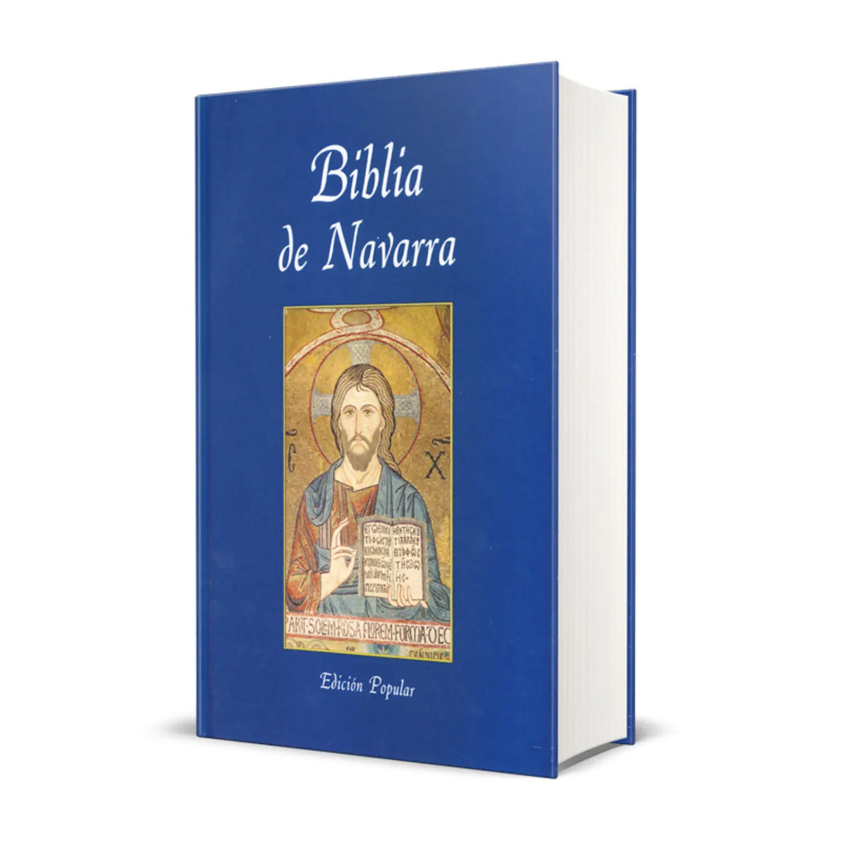 Navarre Bible