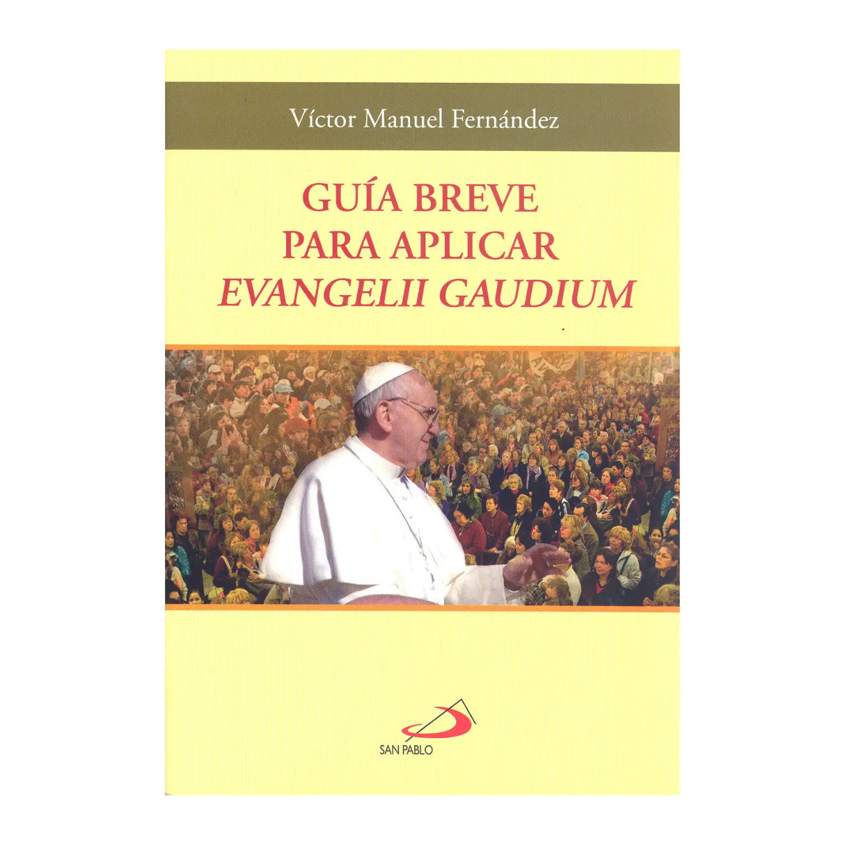 Brief guide to applying Evengelii Gaudium