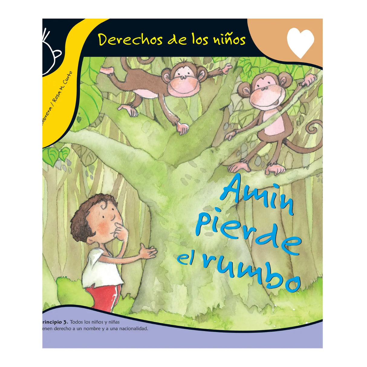 AMÍN LOSES HIS WAY