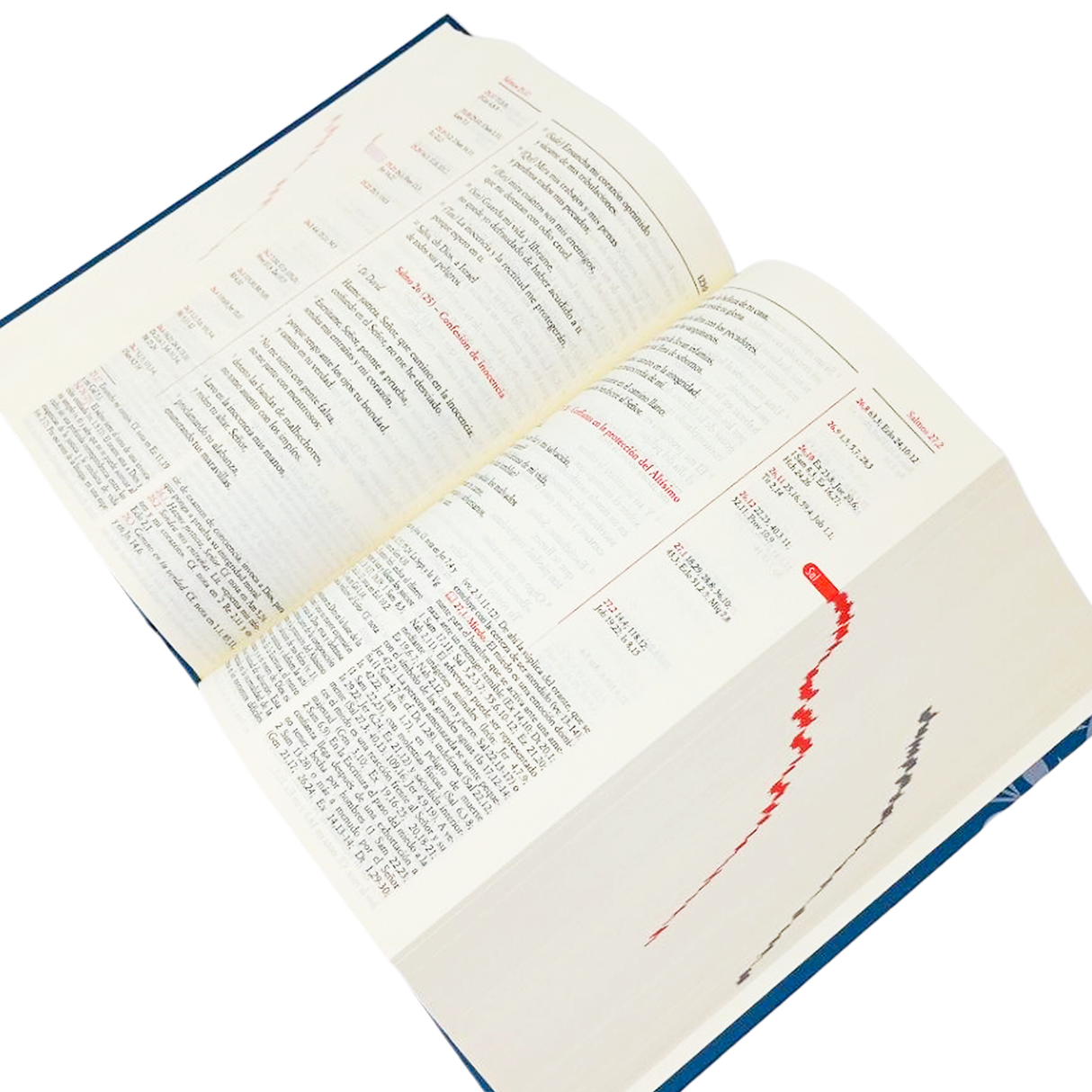 La Biblia Escrutad las escrituras - San Pablo Incernacional - Importado