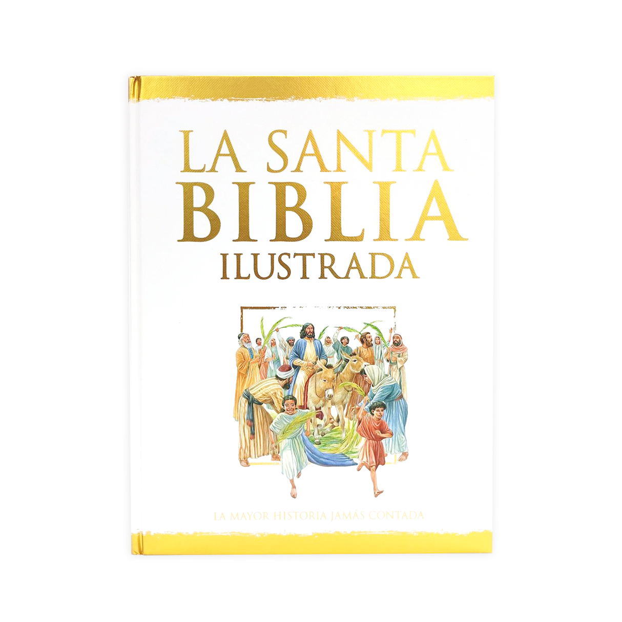 The Illustrated Holy Bible