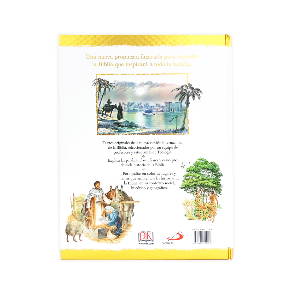 The Illustrated Holy Bible