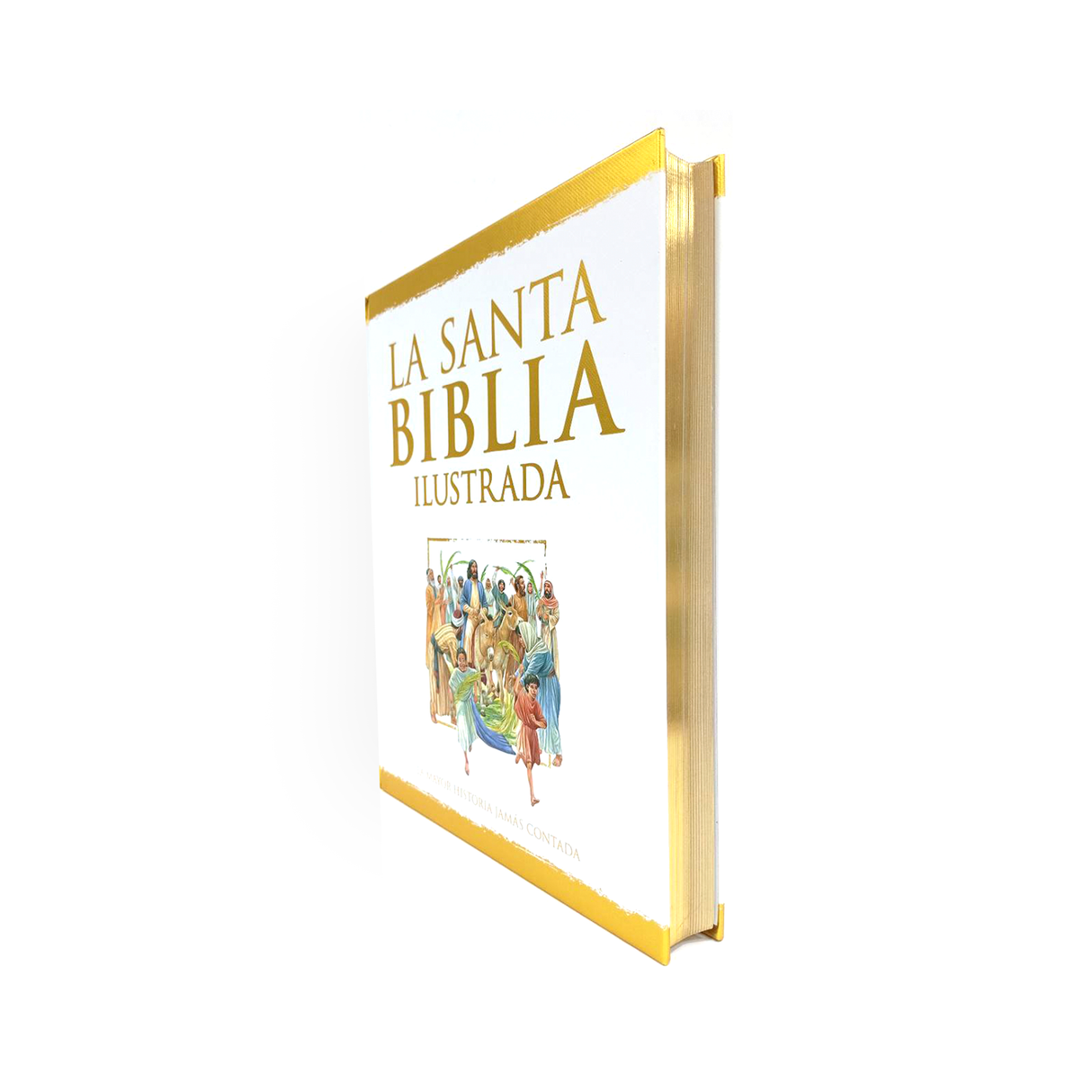 The Illustrated Holy Bible