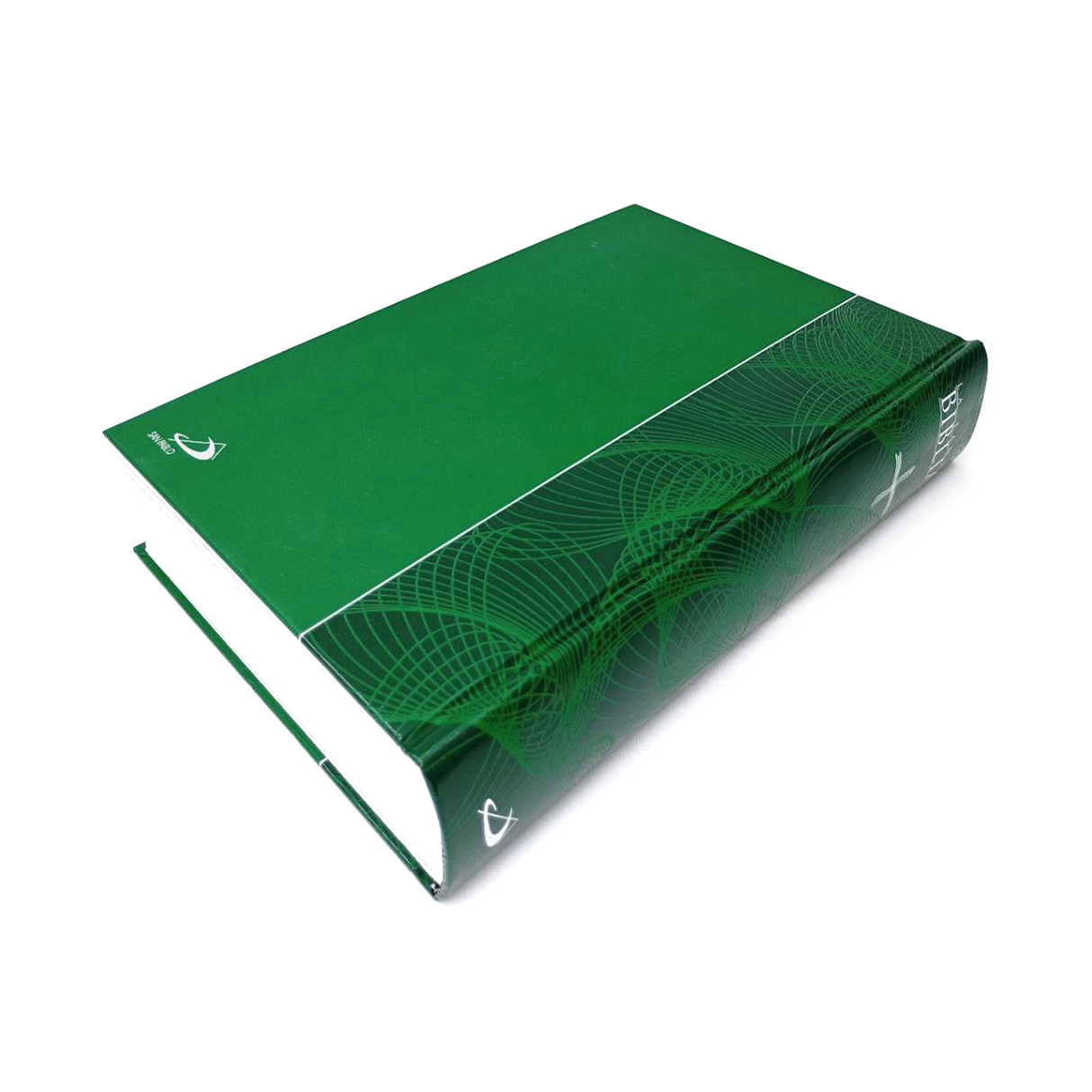 La Santa Biblia Letra Grande San Pablo Internacional