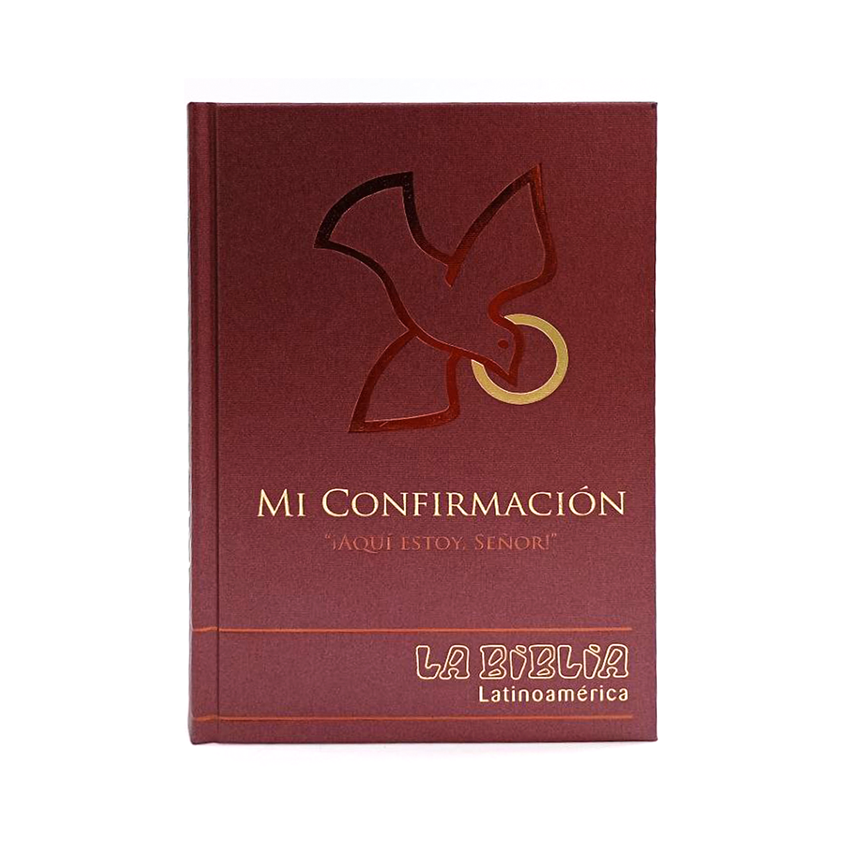 Latin American Bible MY CONFIRMATION