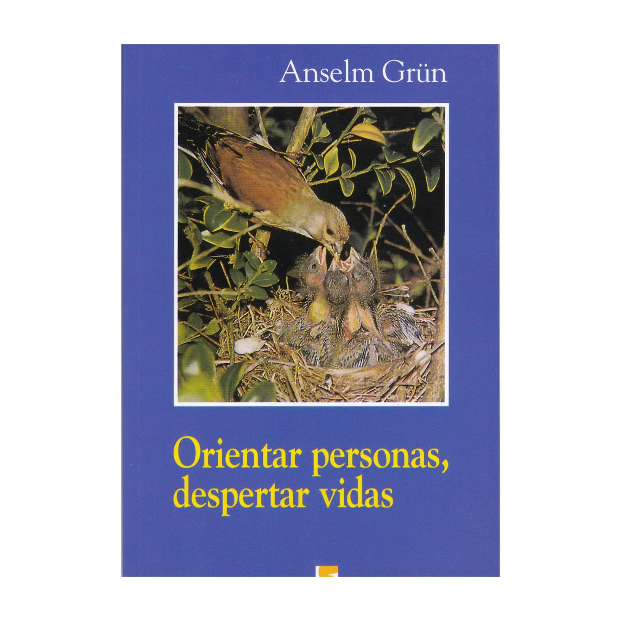 Orientar personas, despertar vidas