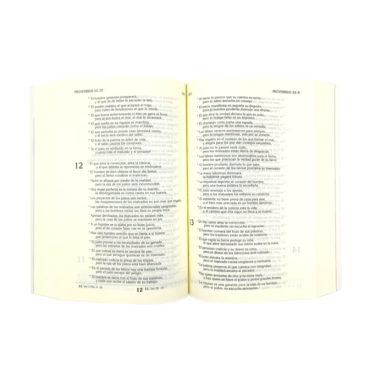 El libro del pueblo de Dios tapa Rústica con funda plástica