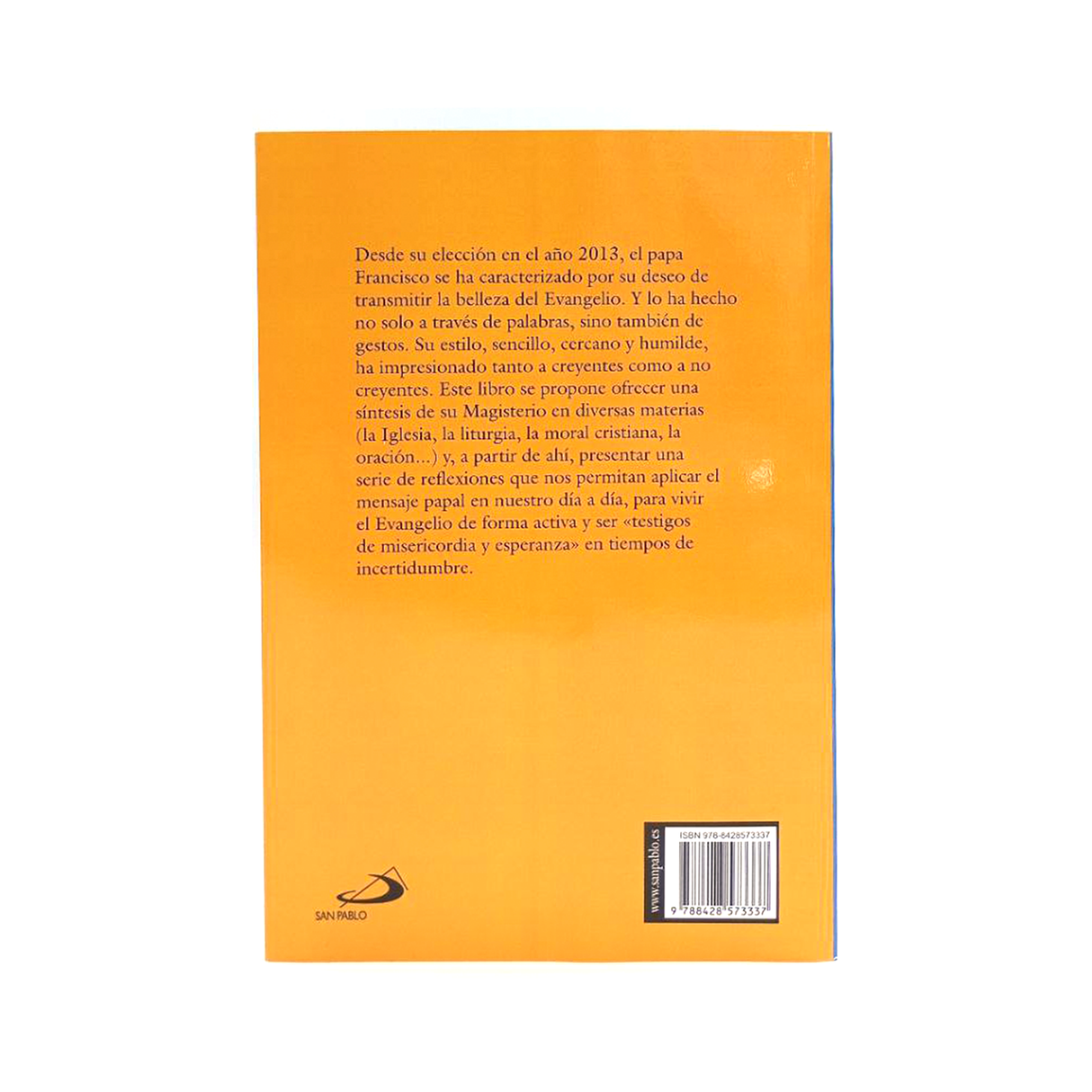 Testigos de misericordia y esperanza: Las enseñanzas del papa Francisco para el siglo XXI-Libro Importado-San Pablo Internacional