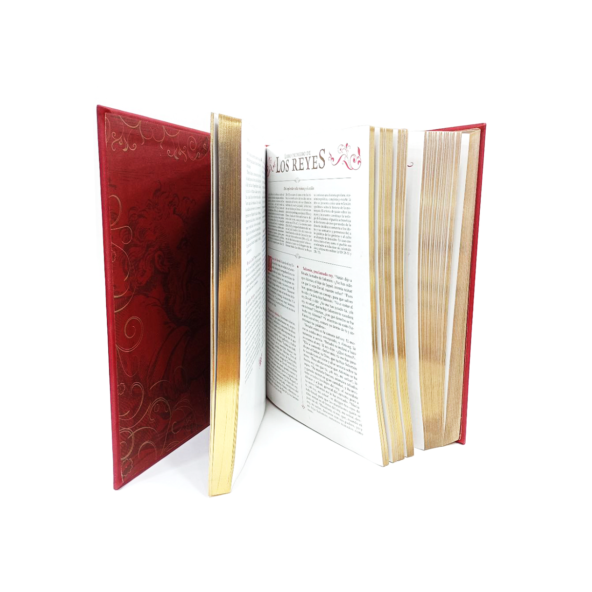 La Santa Biblia Con Grabados San Pablo