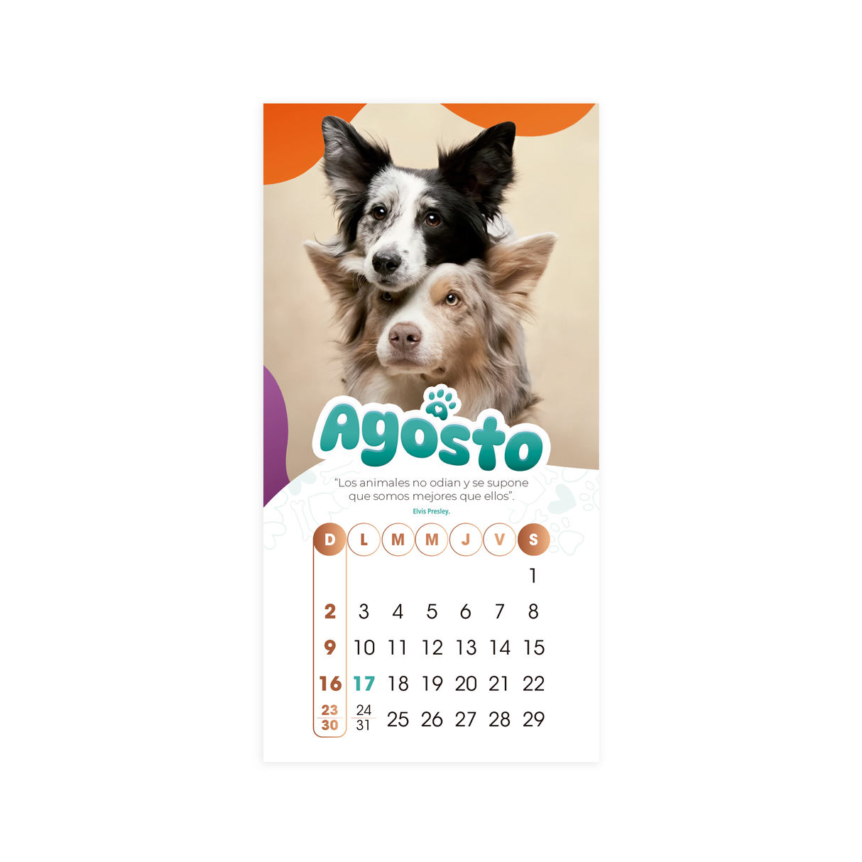 Calendario Mascota 2026 - PARED