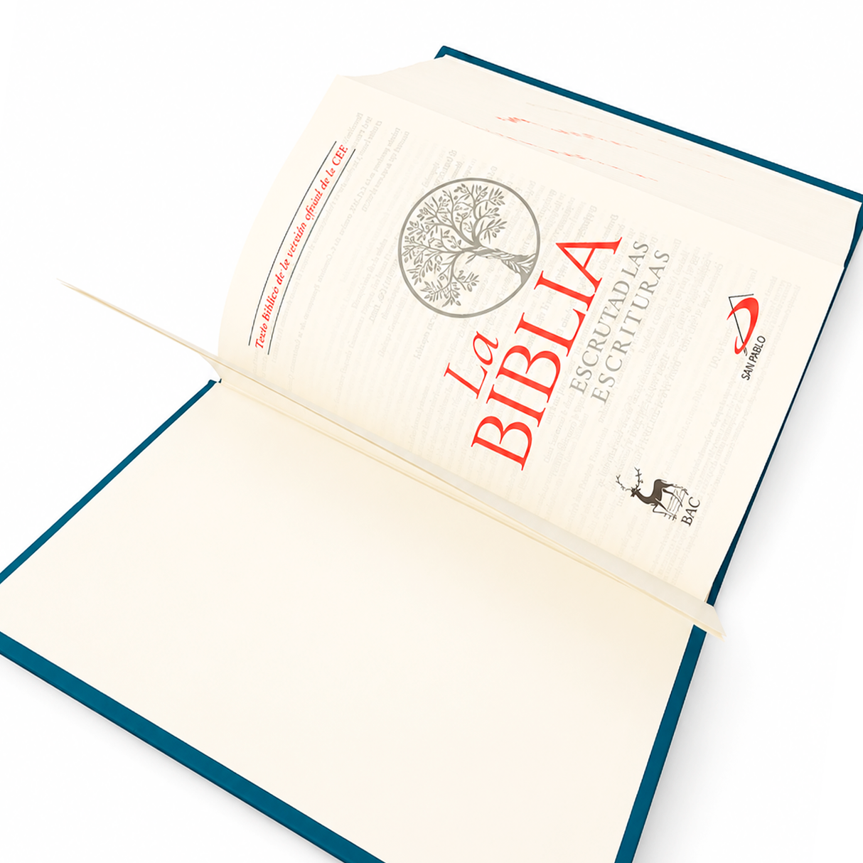 La Biblia Escrutad las escrituras - San Pablo Incernacional - Importado