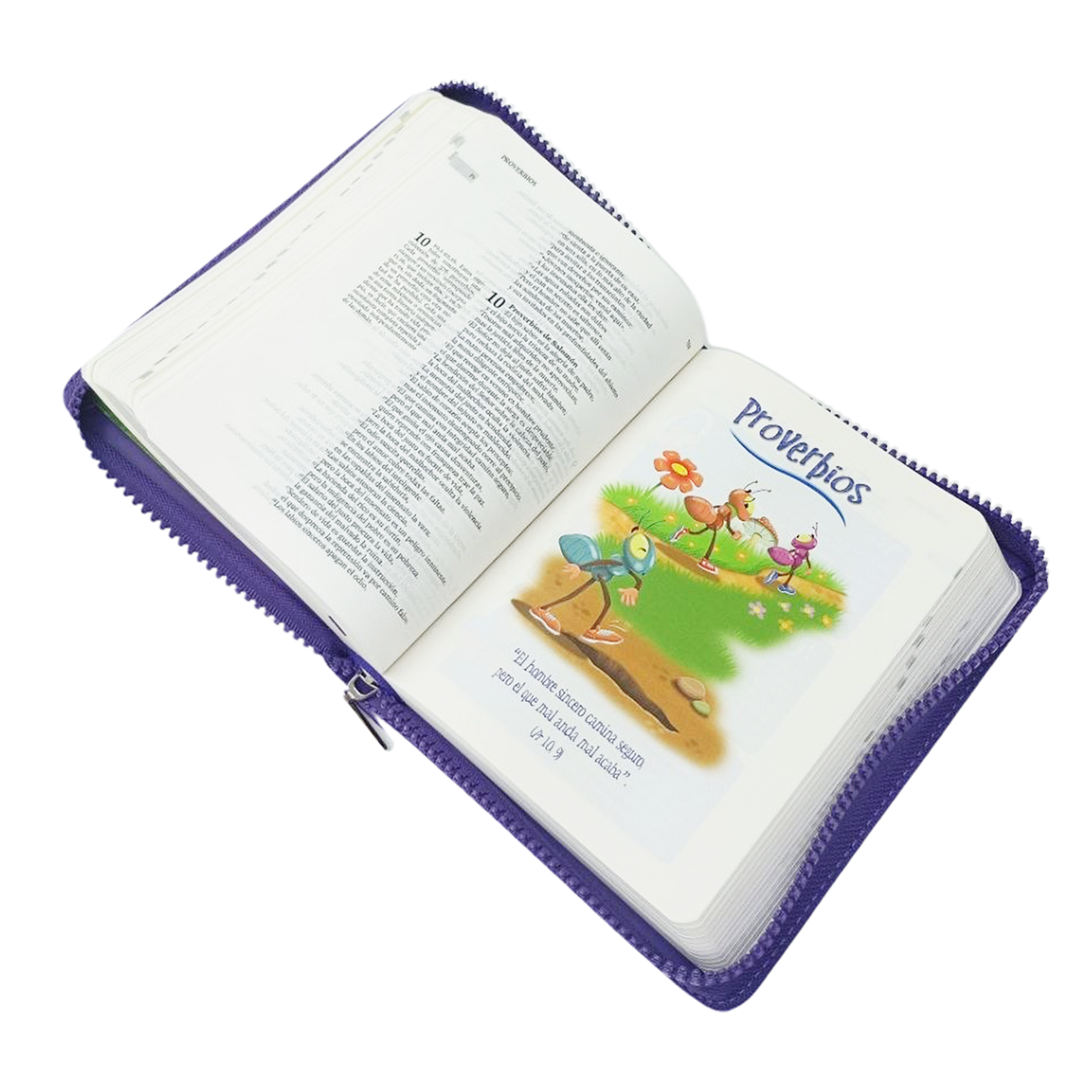 Nuestra Sagrada Biblia - Una historia de Amor c/ cierre -S.P iinternacional - importado