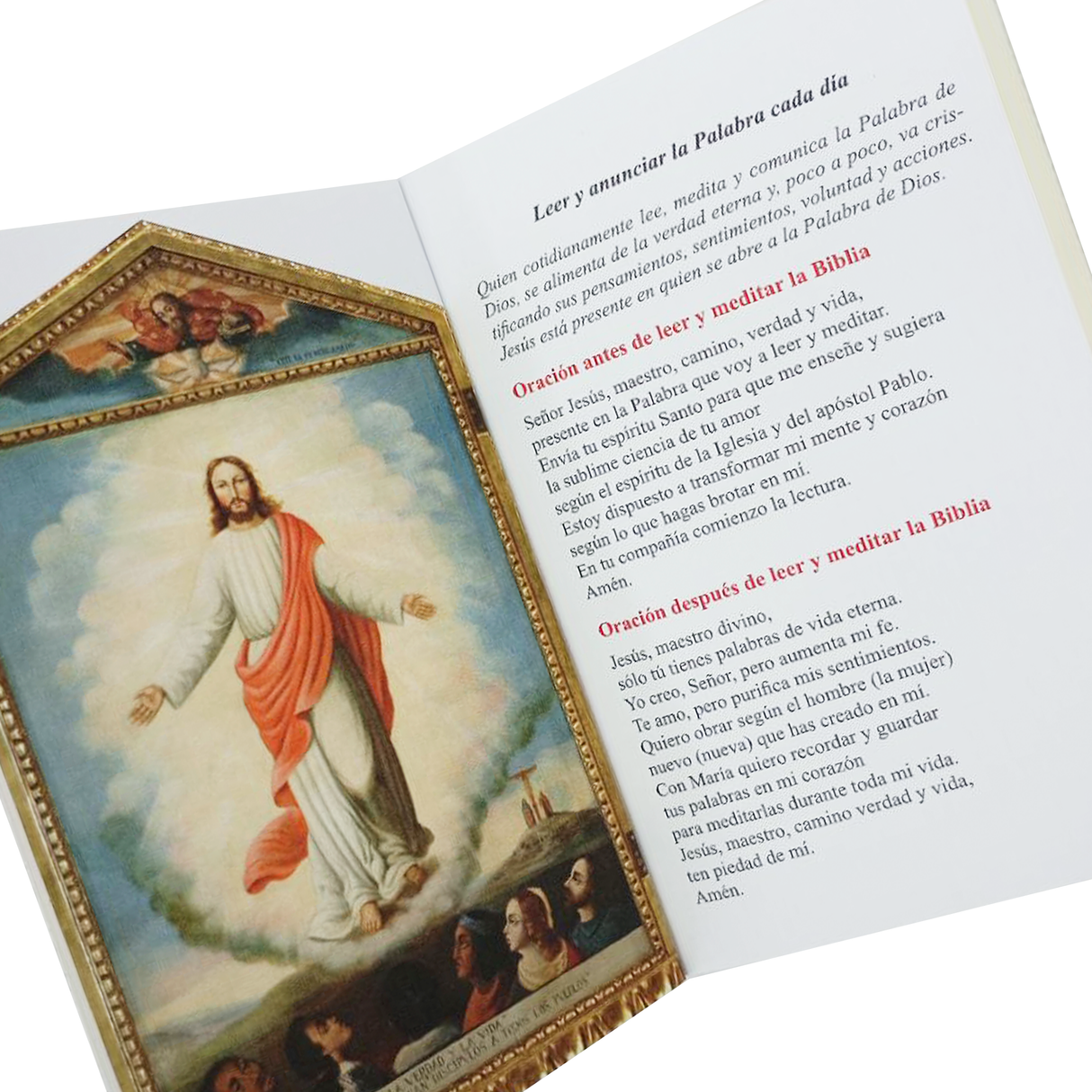 El libro del pueblo de Dios tapa Rústica con funda plástica