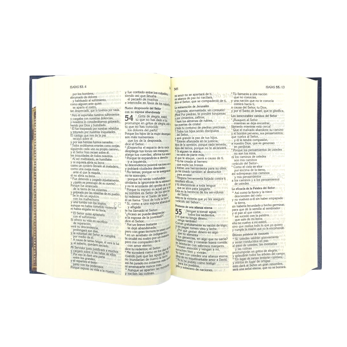 Biblia-El libro del Pueblo de Dios tapa dura Grande