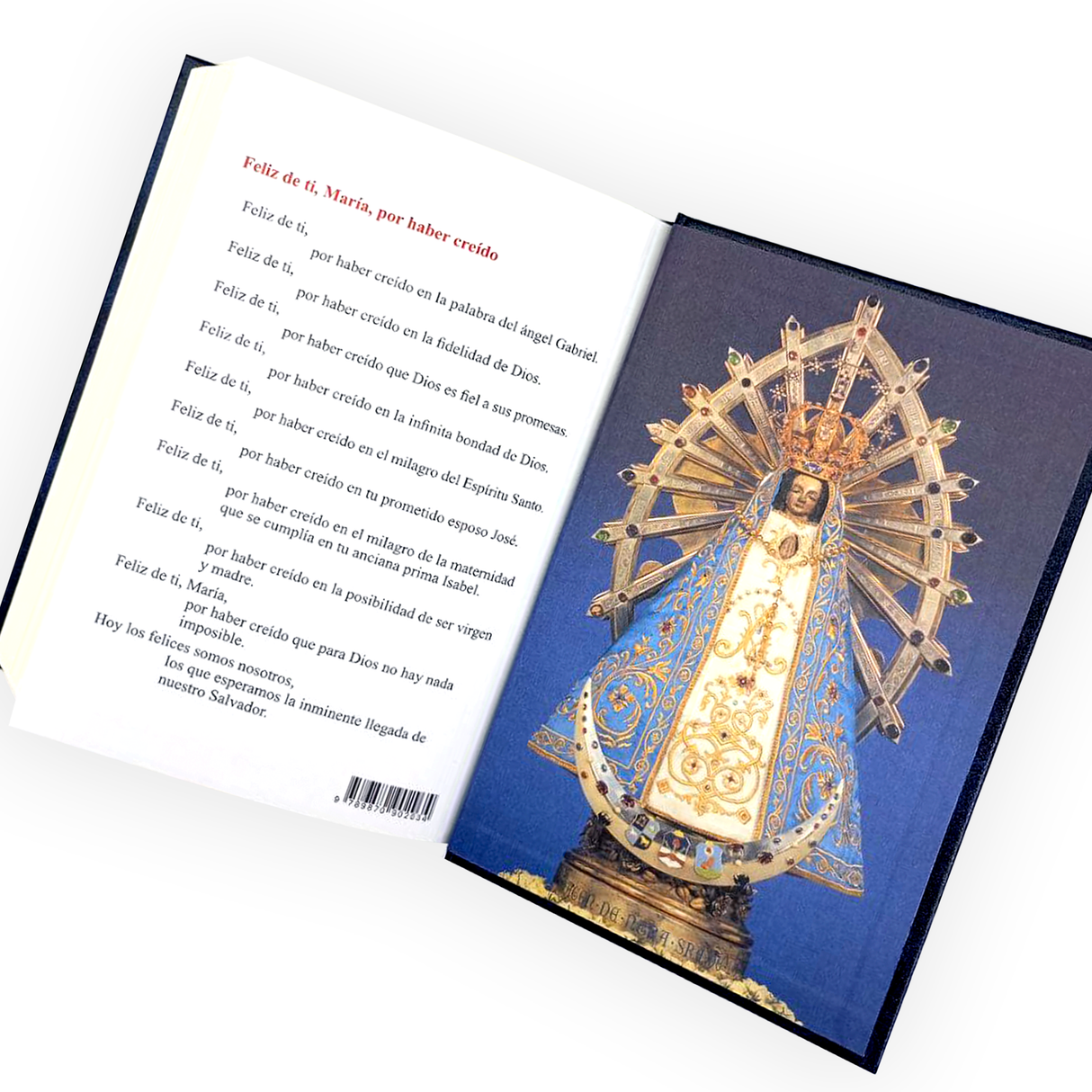 Biblia-El libro del Pueblo de Dios tapa dura Grande