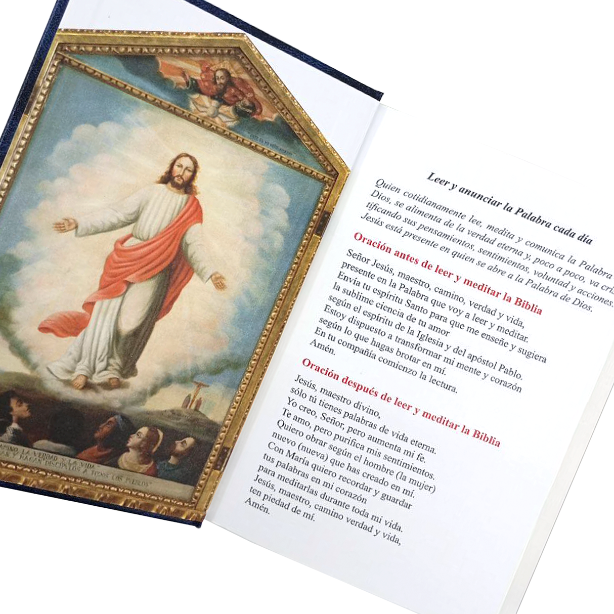 Biblia-El libro del Pueblo de Dios tapa dura Grande