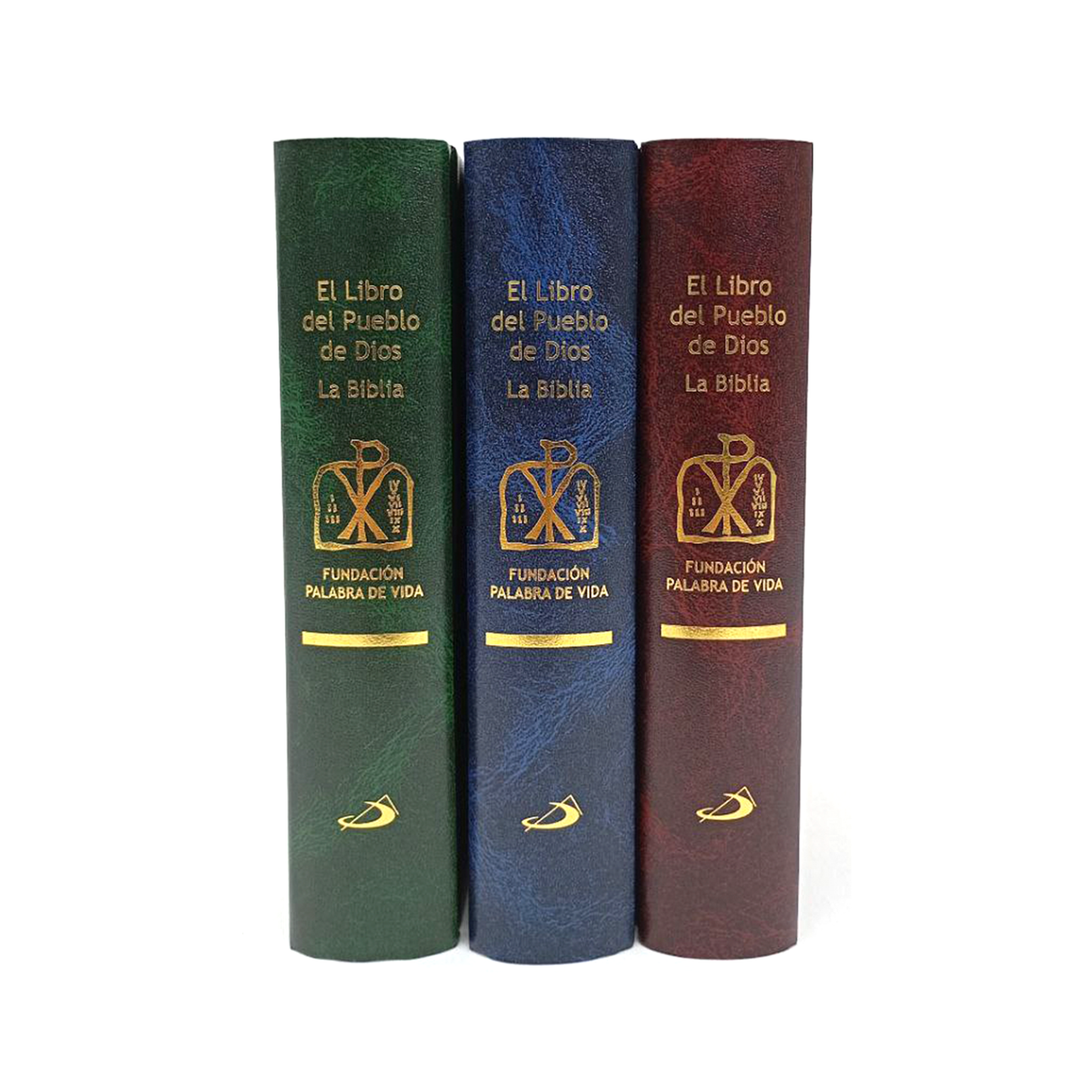 Biblia-El libro del Pueblo de Dios tapa dura Grande